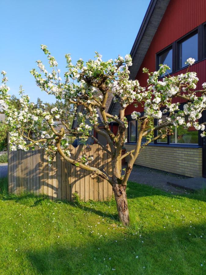 Summers Paradise Holiday home *